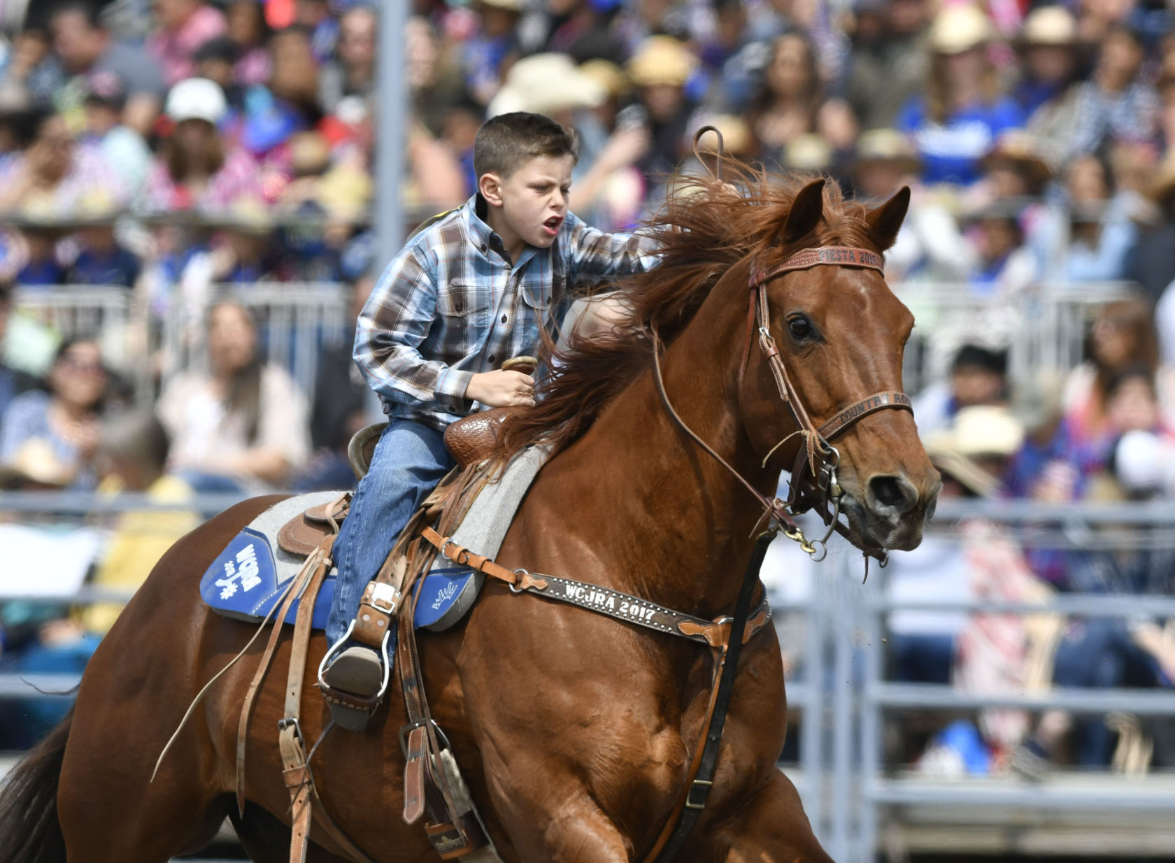 053019 Mini Rodeo sports 18.jpg